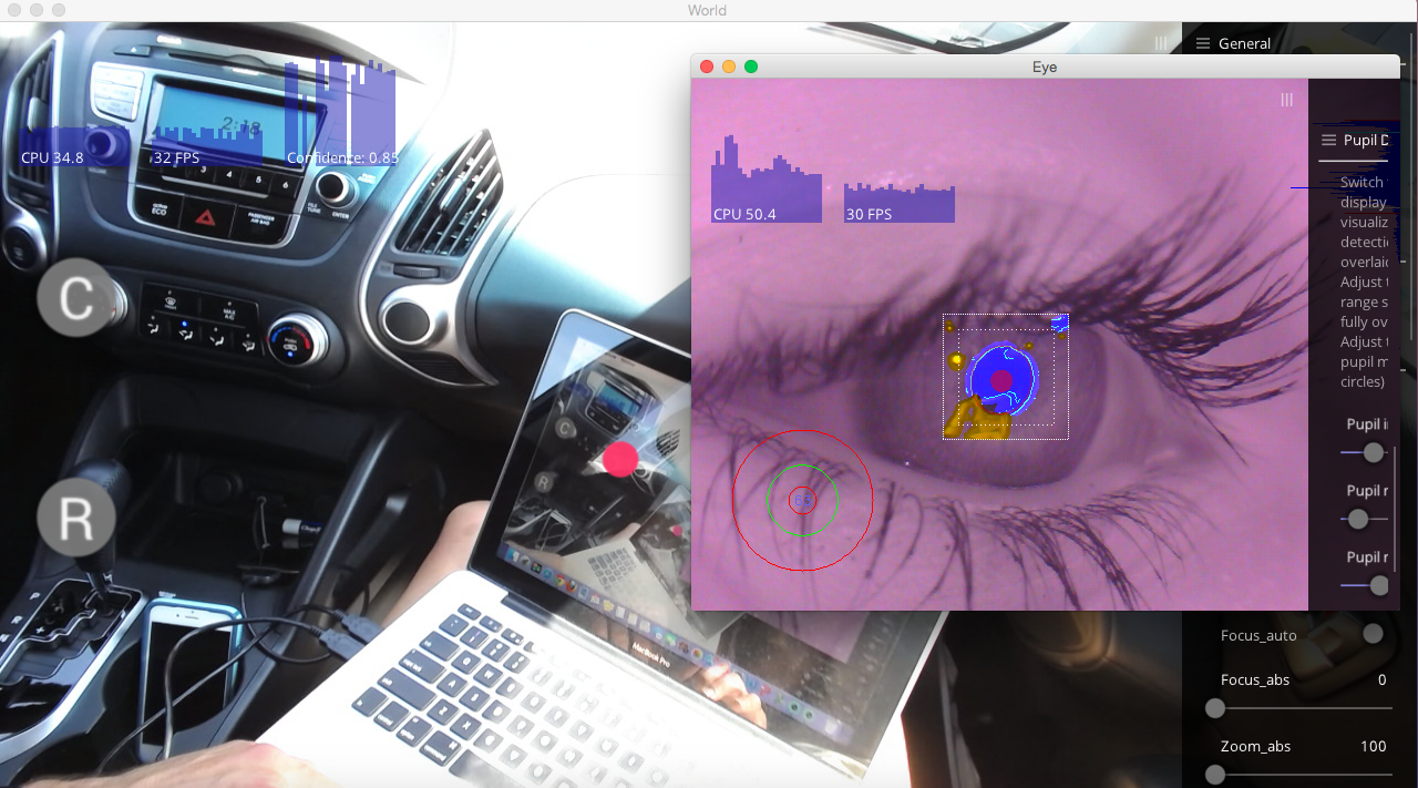 screenshot of Pupil Labs software